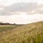 Gulfhof Polder72 10 Hicko * Dornum